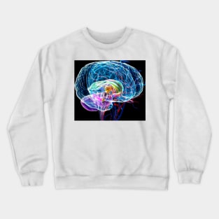 Brain anatomy, artwork (F003/0042) Crewneck Sweatshirt